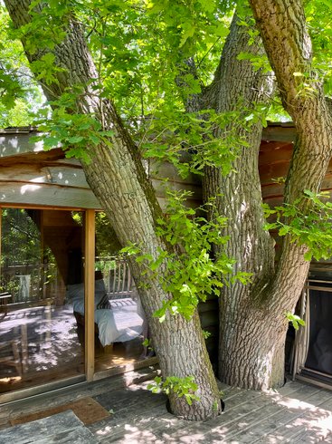 Hébergement AbracadaRoom : Cabane Secrète - Image 7
