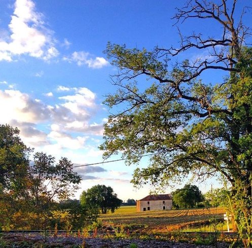 Domaine AbracadaRoom : Yourtes de Gascogne - Image 2