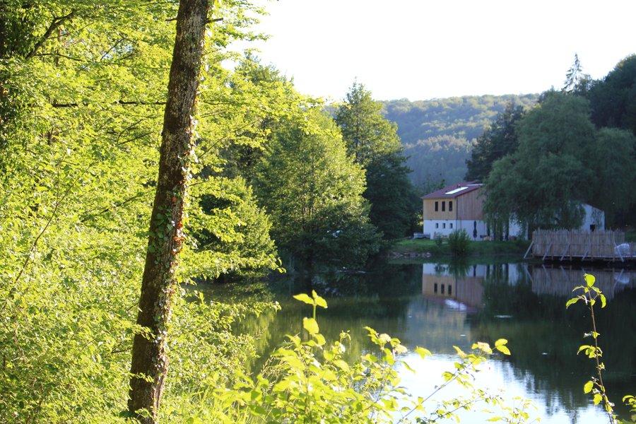 Domaine AbracadaRoom : La Combe Rossignol - Image 2