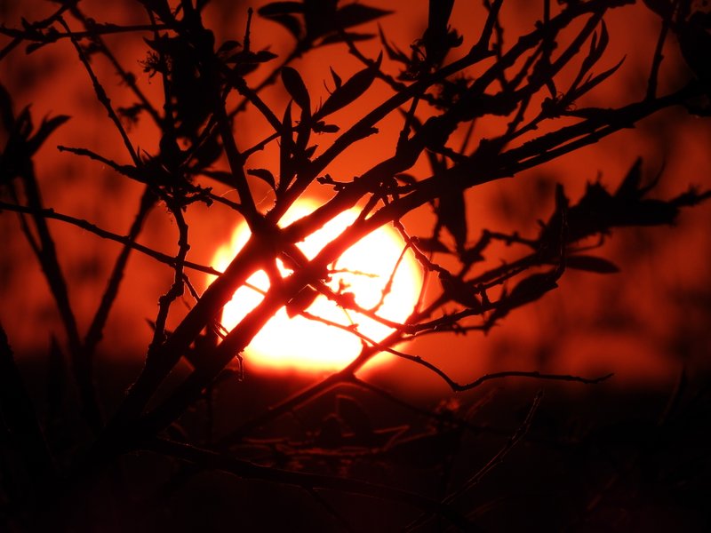 Domaine AbracadaRoom : Les 2 Granges - Image 12