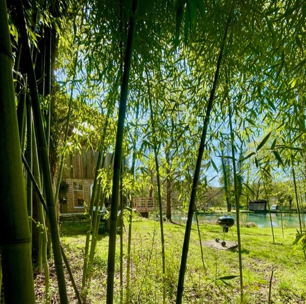 Domaine AbracadaRoom : Domaine de Faye - Image 5