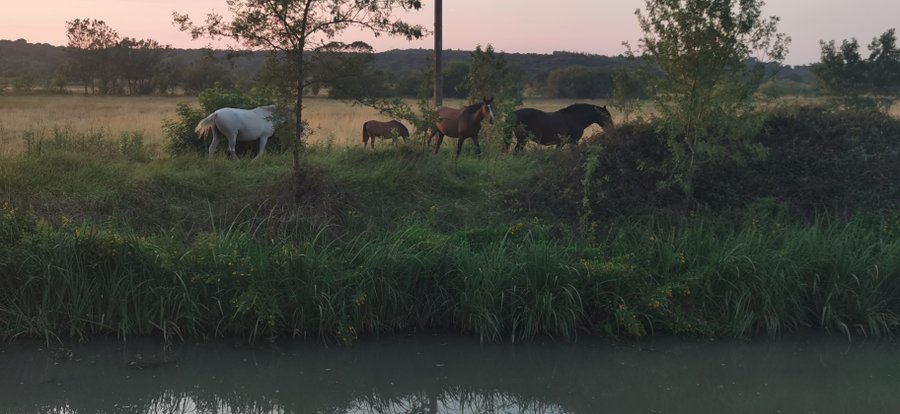 Domaine AbracadaRoom : Péniche Ajoa - Image 16