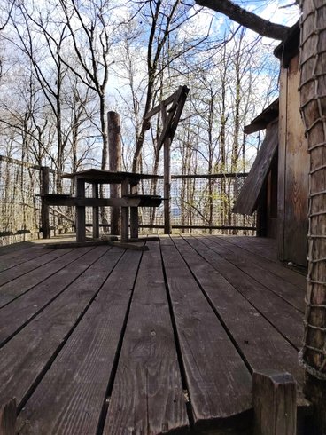 Hébergement AbracadaRoom : Cabane Coquille - Dormir sous les étoiles - Image 8