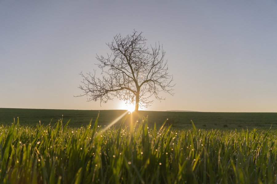 Domaine AbracadaRoom : Homnest (Gigors) - Image 18