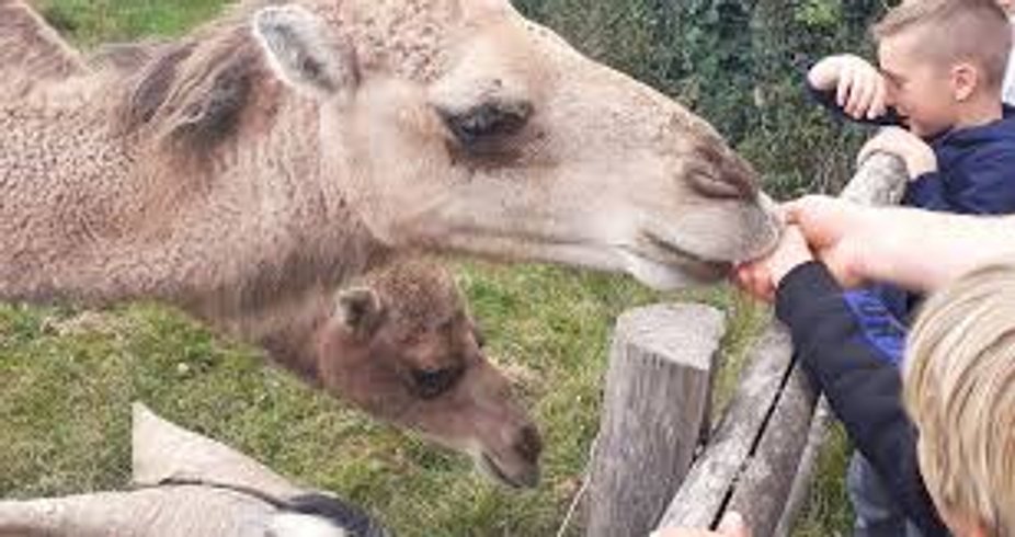 Domaine AbracadaRoom : Glamping La Fraventure - Image 54