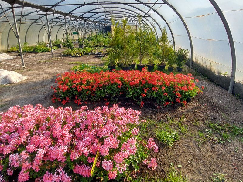 Domaine AbracadaRoom : Ecolieu B & Bubble Drincham - Image 15