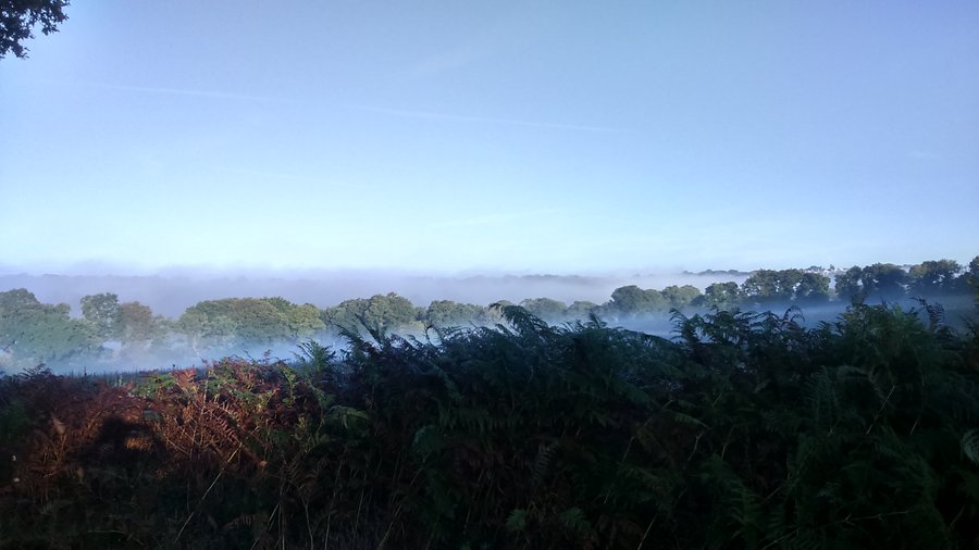 Domaine AbracadaRoom : Ekolobreizh - Image 8