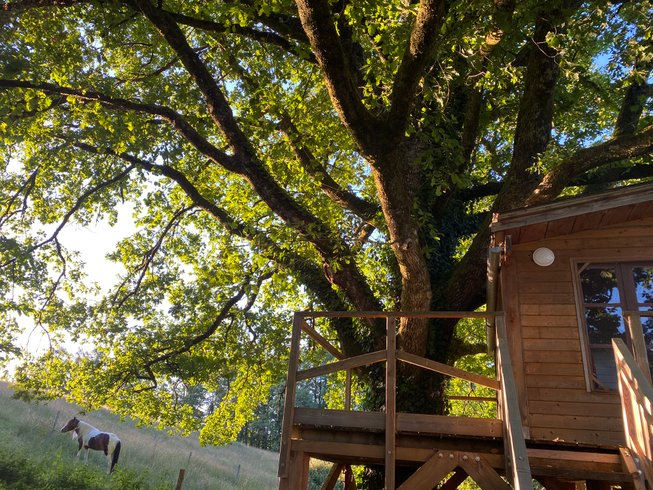Domaine AbracadaRoom : Cabane dans le chêne tricentenaire - Image 14