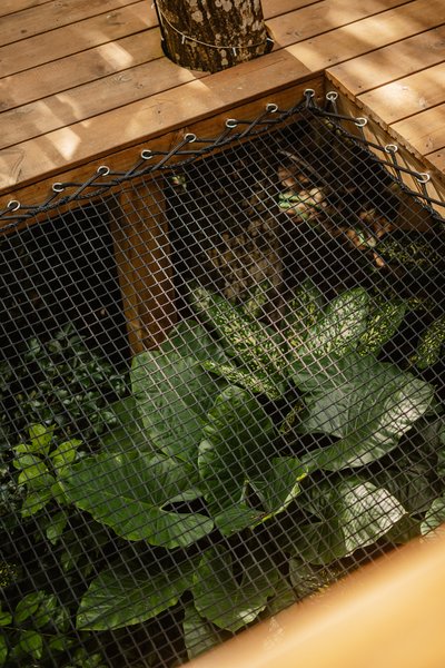 Domaine AbracadaRoom : Au Jardin des Colibris - Image 15