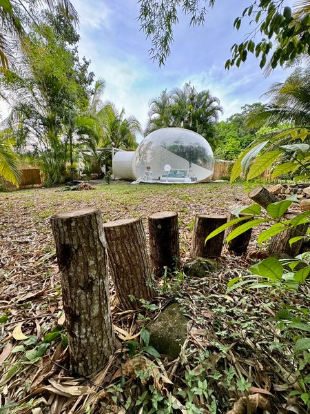 Domaine AbracadaRoom : Riviera Martinique - Image 2