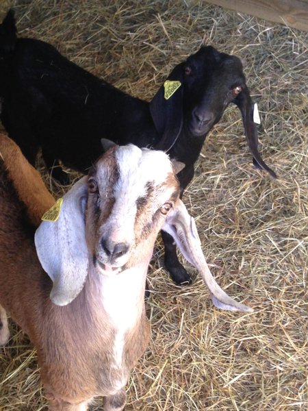 Domaine AbracadaRoom : Parenthèse Nuit - Image 4