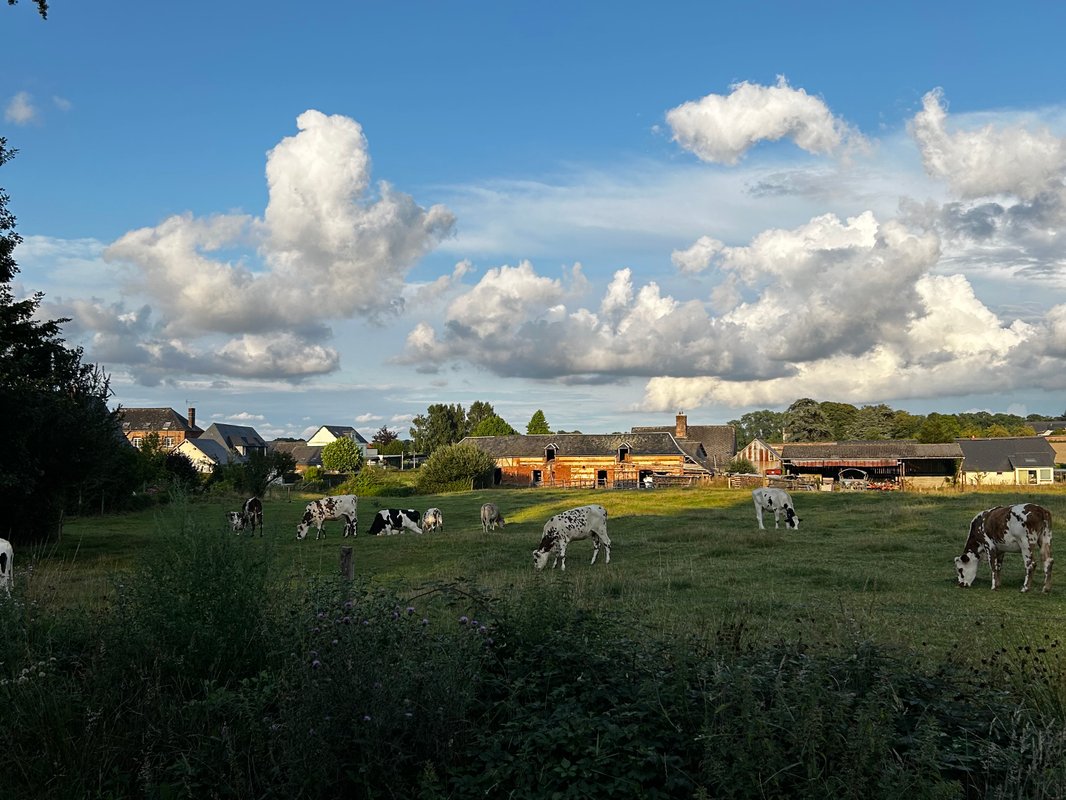 Le Chêne & Bain Nordique à Valliquerville (15)