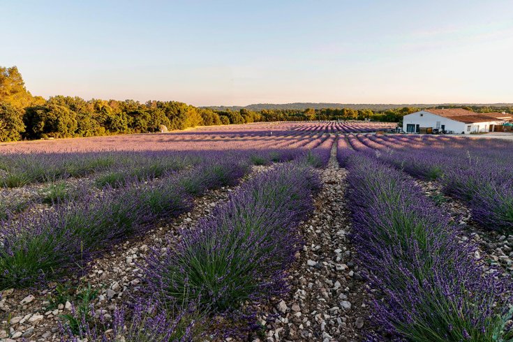Domaine AbracadaRoom : Bulle du Lavandin - Image 16