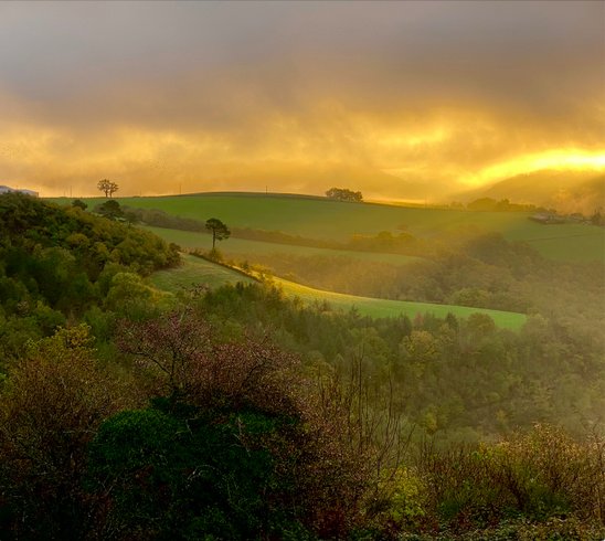Domaine AbracadaRoom : Domaine de Puech Long - Image 8