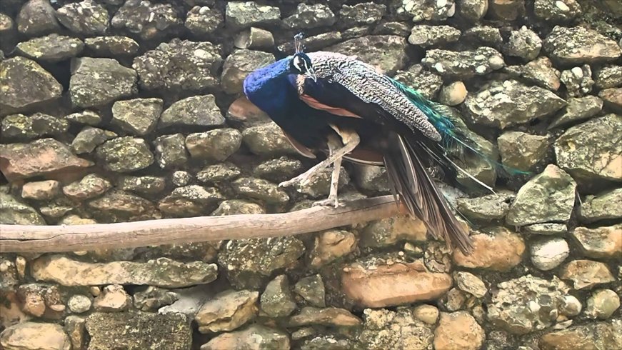 Domaine AbracadaRoom : Domaine St-Jean de l'Arbousier - Image 2