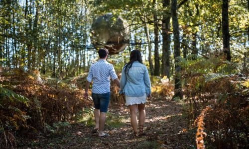 Hébergement AbracadaRoom : Lov'Bois - Image 5