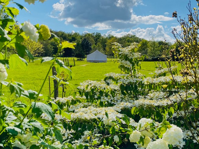 Hébergement AbracadaRoom : Sunny Lodge - Image 8