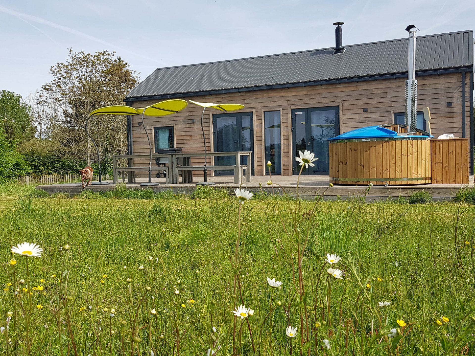 Cabane du Renard & Bain nordique