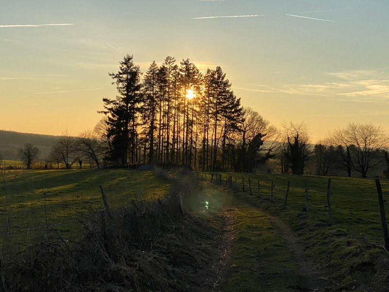 Domaine AbracadaRoom : Les terres de la chouette - Image 13