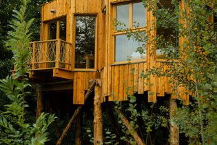 Treehouse Oise