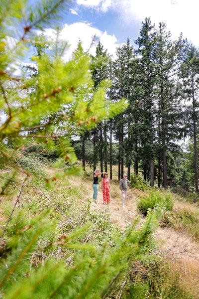 Domaine AbracadaRoom : ECO CEIBA - Image 2