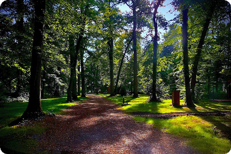 Les Lodges de Vaugrigneuse — photo 2