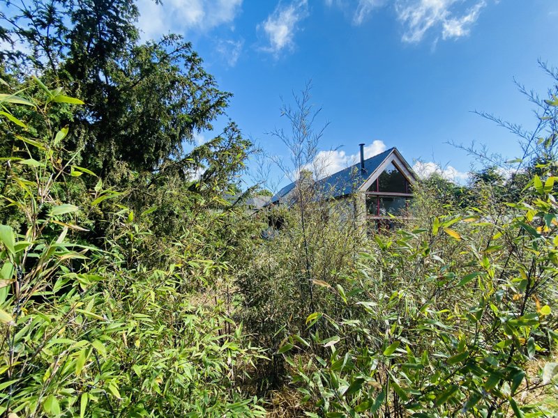 Domaine AbracadaRoom : Jardin Zen du Quistillic - Image 60