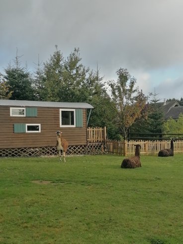 Domaine AbracadaRoom : Ecodomaine Rêver Ailleurs - Image 20