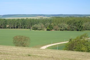Roulotte Yonne