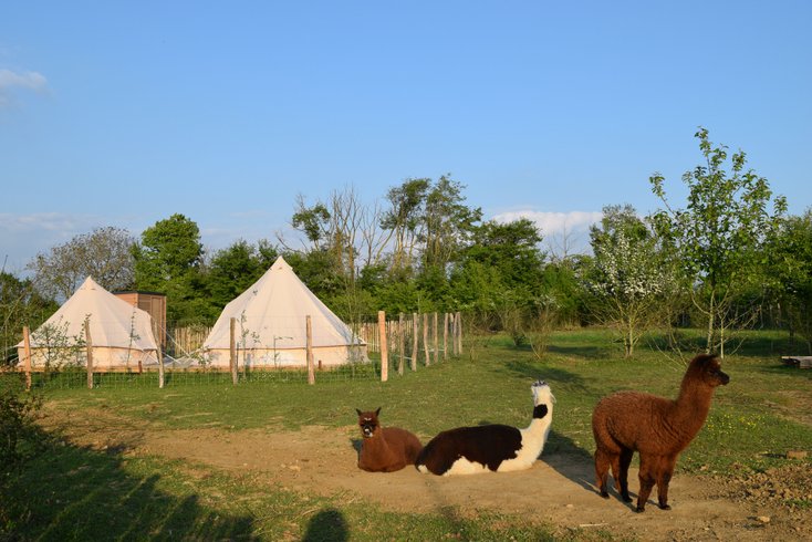 Hébergement AbracadaRoom : Tente Lima - Image 7