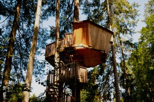 Village des cabanes perchées du Lac des Sapins