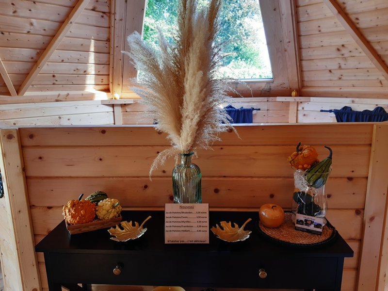 Hébergement AbracadaRoom : kota "vue étoilée" - Image 9