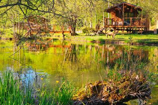 La Cabane du Héron, lodge sur pilotis, étang, nature, biodiversité