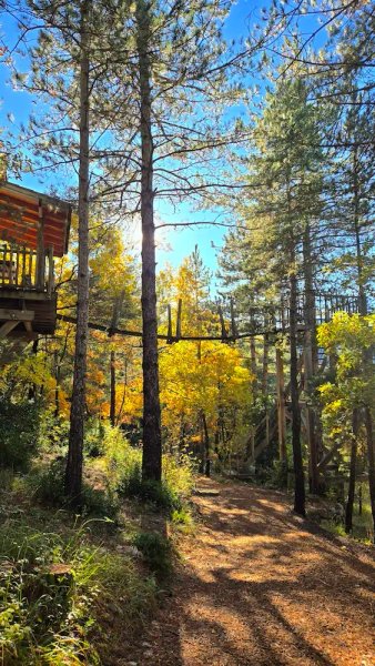 Hébergement AbracadaRoom : Épine Vinette & Spa - Image 32