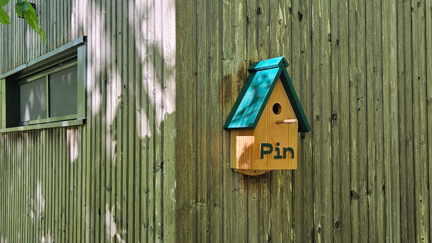Cabane Pin à Meyrignac L’eglise (14)