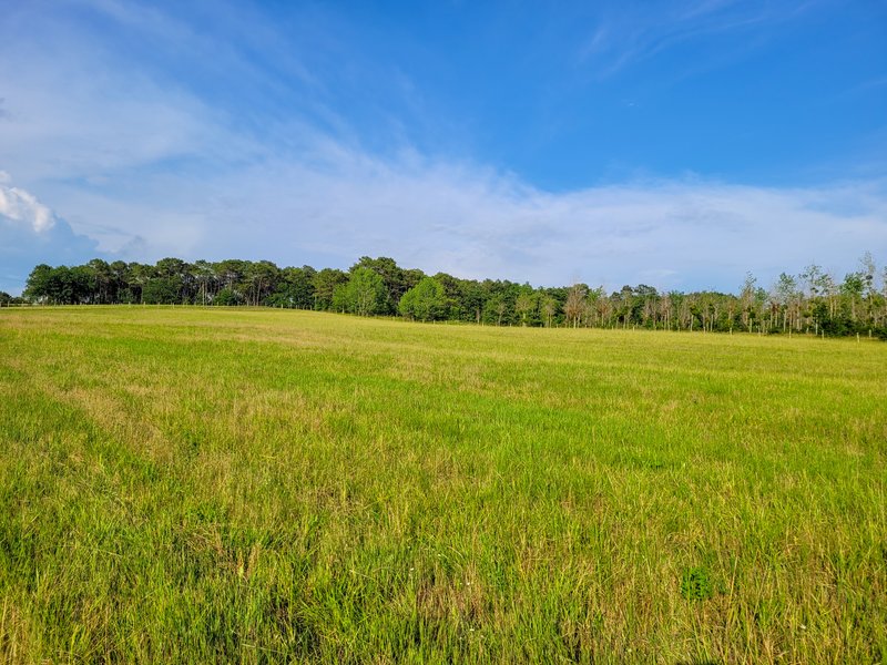 Hébergement AbracadaRoom : Tiny House Lumen & son bain bordelais - Image 30