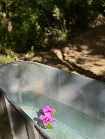 Hébergement AbracadaRoom : Wild Lodge - Image 4