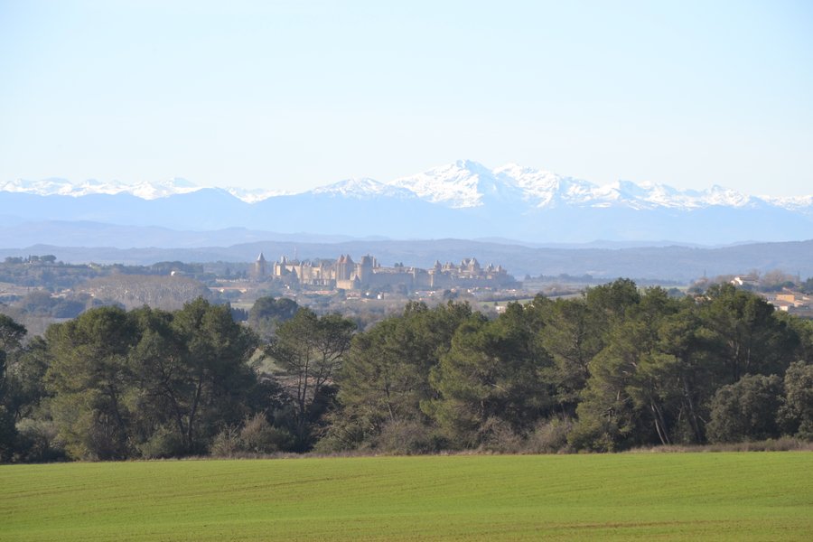 Domaine AbracadaRoom : Les Cabanes dans les bois - Image 5
