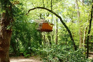 Cabane dans les arbres Finistère