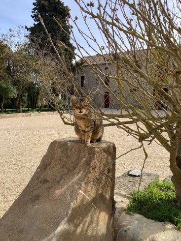 Domaine AbracadaRoom : Les Cabanes dans les bois - Image 38