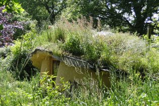 The International Love-Shack Camp