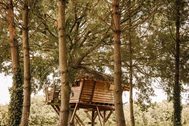 Cabane Hulotte à Pommerieux (3)