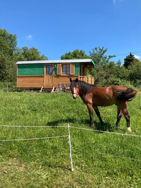 Hébergement AbracadaRoom : La Roulotte de Campras - Image 32