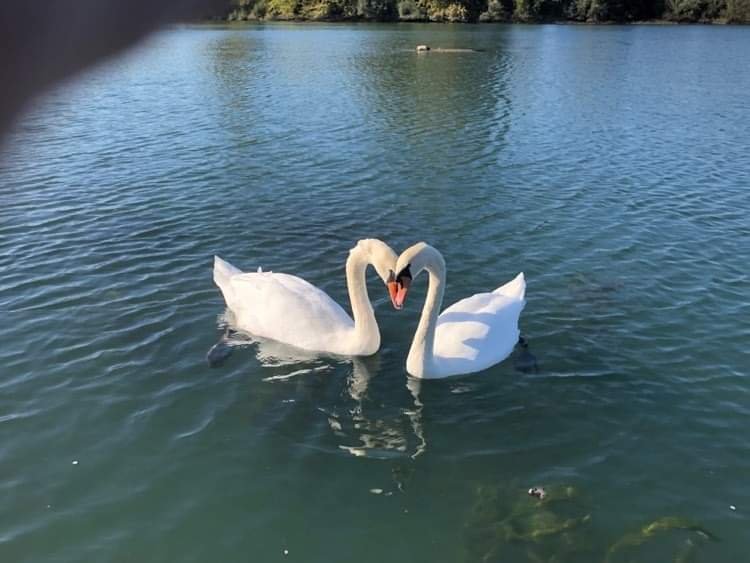 Domaine AbracadaRoom : Lou Provence - Image 5