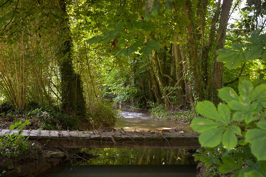Domaine AbracadaRoom : La Vallée des Lapins - Image 4