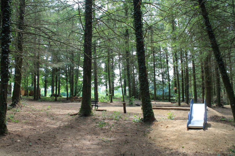 Domaine AbracadaRoom : L'Etoile Perchée - Image 12