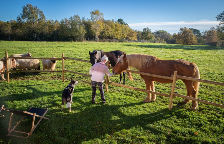 Hébergement AbracadaRoom : Homnest - Prairie des Âmes Heureuses - Occitanie - Image 40