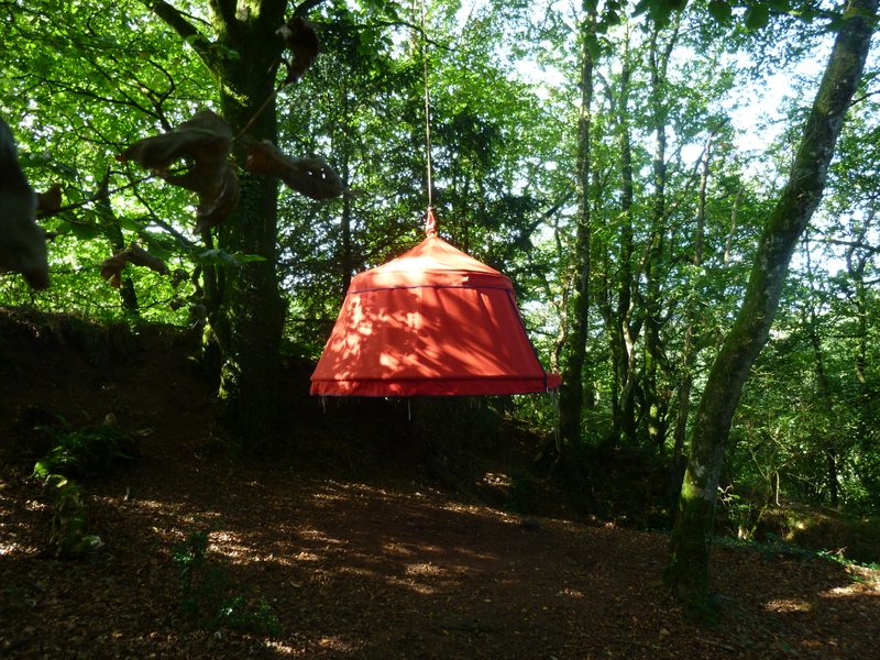 Hébergement AbracadaRoom : Plum'arbres 4 - Image 1