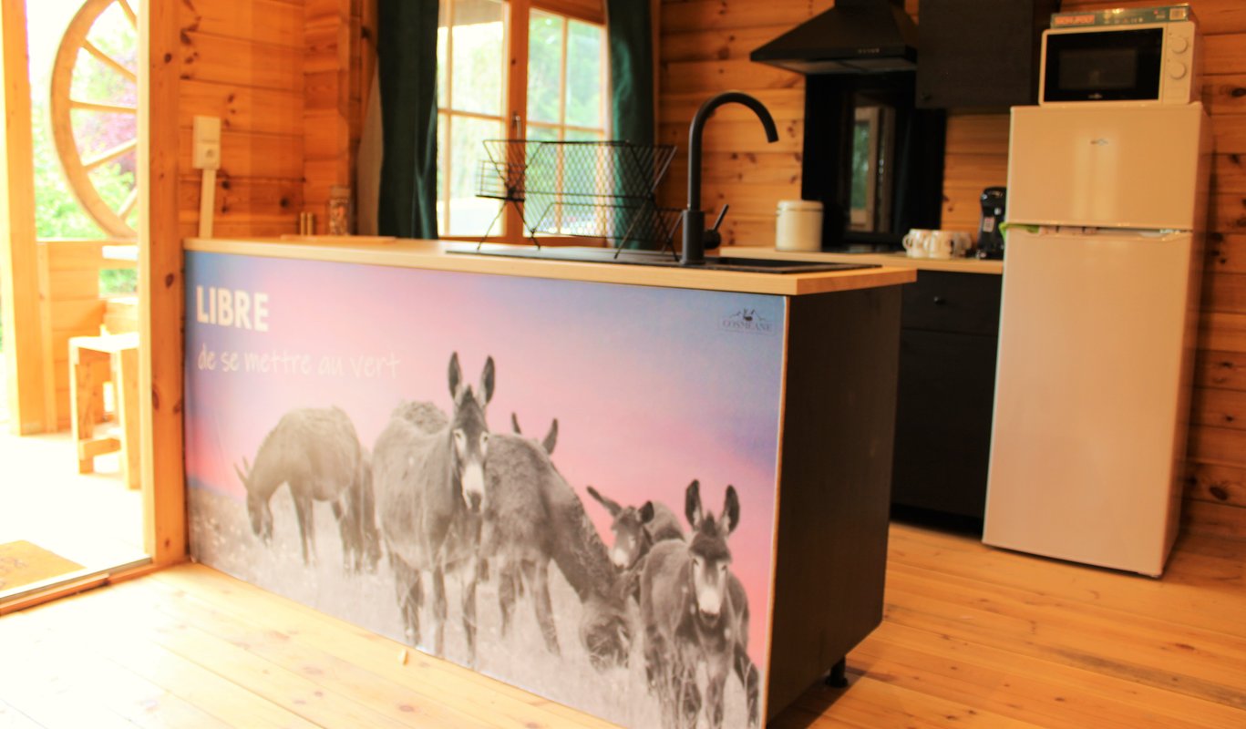 Chalet Estive à Saint Ybars (1)