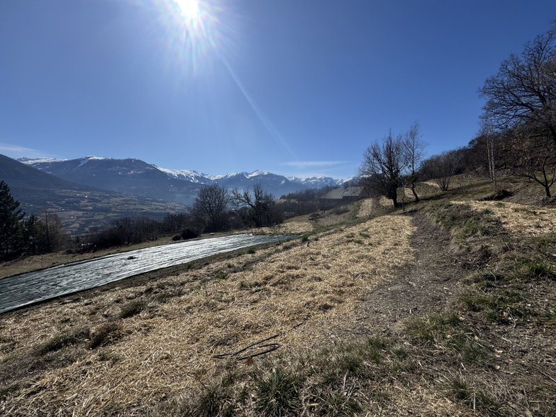 Domaine AbracadaRoom : Ferme les Brandons - Image 9